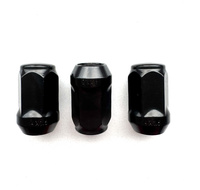 M14X1.5 ZAMKNIĘTA KLUCZ 19 CHROM